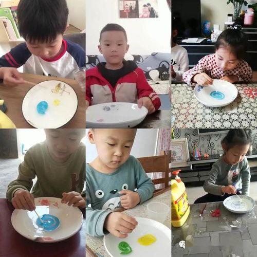 幼儿圆视频,视频回顾