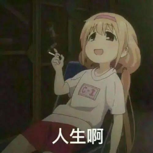 动漫后入式视频